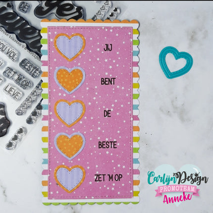 CarlijnDesign Grote teksten 6 stempels CDST-0094