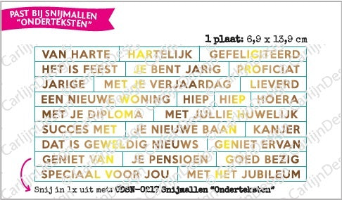 CarlijnDesign Onderteksten Gefeliciteerd hot foil CDHF-0026