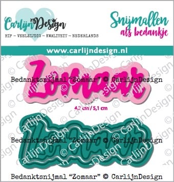 Voorbeeld CDBS-0010